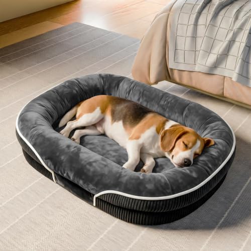 Simple Trending Orthopedic Dog Bed for Medium and Large Dogs, 36 x 26 Inch by SimpleTrending