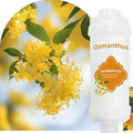Vitamin C Shower Filter for Hard Water, Shower Aromatherapy, Water Purifier Bathroom Accessories Remove Chlorine Fluoride Heavy Metals Improves Skin Condition Protects Hair Osmanthus Scent by Unknown