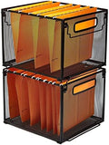 SETTFRFE 2 Pack File Organizer,Metal File Crates for Hanging Folders,Black by SETTFRFE