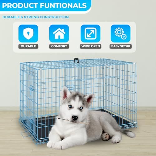 FDW | 30" Foldable Metal Dog Crate | Blue | Cage for Medium Dogs - Image 2