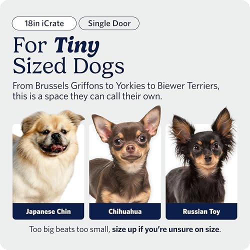 Midwest 18-Inch Single Door iCrate, for Tiny Breeds, Up to 10 lbs - Image 2
