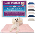 Pet Dreams Dog Crate Pad - Washable Kennel Mat, Crate Pads for Dog Cages, Non-Toxic, Flat Indoor Cat Bed, Fits iCrate 18, 24, 30, 36, 42, 48 Inches (Pink, Small, 24") by PetDreams