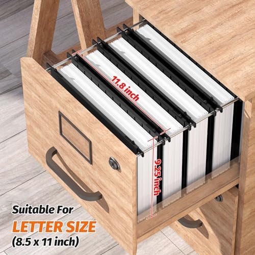 Shutex Extra Capacity Plastic Hanging File Folders,12 Pack Reinforced Hang Folders,Heavy Duty 2 Inch Expansion,Plastic Filing Cabinet Folders,Letter Size,Designed for Bulk Files, Medical Charts,Black - Image 3