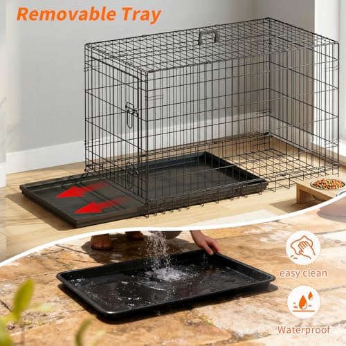 FDW | 42" Foldable Metal Dog Crate | Dark Black | Cage for Medium Dogs - Image 4