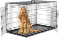 Sweetcrispy Dog Crate 48 Inch, Medium Large Dog Cage, Foldable Pet Kennel by Sweetcrispy