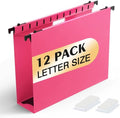 SHUTEX Plastic Hanging File Folder, 12 Pack, Letter Size, Pink by Shutex