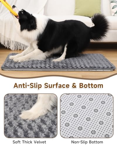 Small Dog Bed for Crate, High Resilience Foam Pad Mat Bed, 23x17, Dark Grey - Image 3