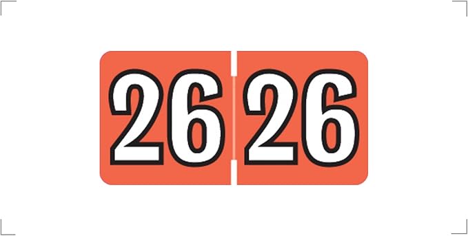 MINI 2026 Year Labels, Doctor Stuff 2026 Chart Stickers, Colwell Jewel Tone by DoctorStuff