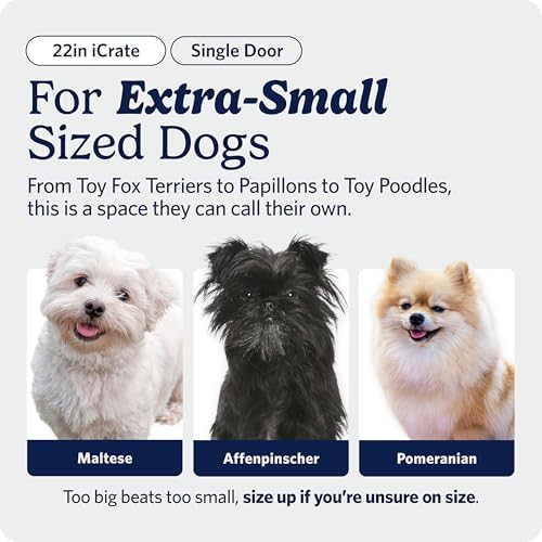 Midwest 22-Inch Single Door iCrate, for Extra-Small Breeds, Up to 15 lbs - Image 2