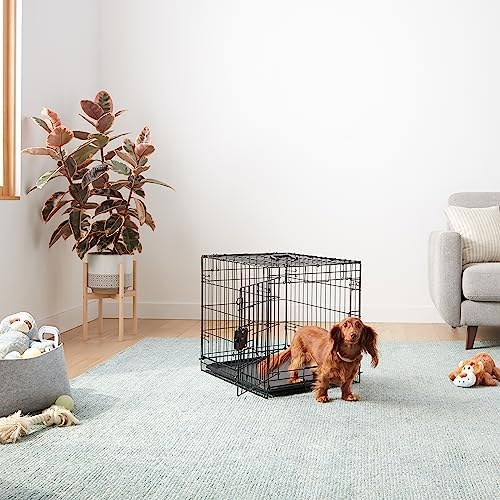 Amazon Basics Portable, Foldable Metal Wire Small Dog Crate with Removable Tray, Divider Panel, Single Door, Easy to Assemble, 24" x 18" x 20", Black - Image 5