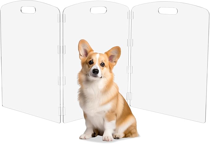 Modern Frame Clear Acrylic Freestanding Pet Gate by Feoyoho