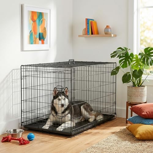 FDW | 42" Foldable Metal Dog Crate | Dark Black | Cage for Medium Dogs - Image 2