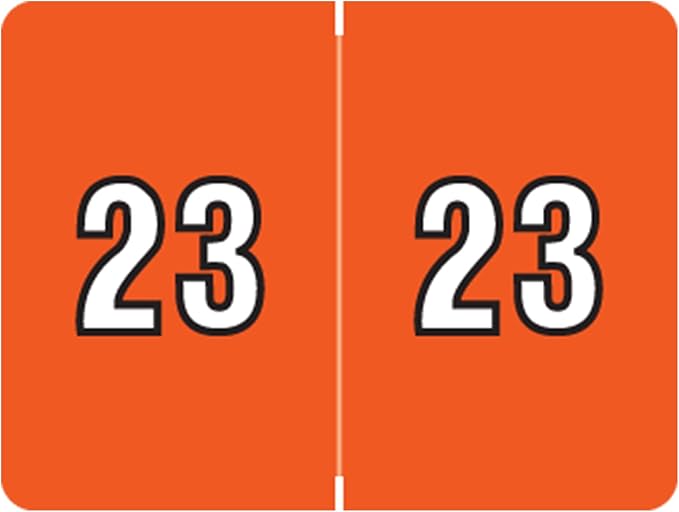2023 Year Stickers, Doctor Stuff 2023 Chart Stickers, Dark Orange Colored by DoctorStuff