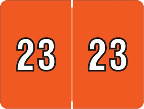 2023 Year Stickers, Doctor Stuff 2023 Chart Stickers, Dark Orange Colored by DoctorStuff