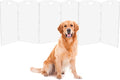 Modern Frame Clear Acrylic Freestanding Dog Gate by Feoyoho