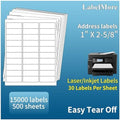 LabelMore Mailing Address Labels, 1" x 2-5/8", 30 up Labels for Laser or Inkjet Printable, 30-Up FBA Labels, 15000 Labels - 500 Sheets by LabelMore