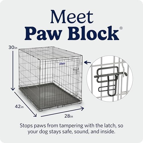 Midwest 42-Inch Single Door iCrate, for Large Breeds, 71-90 lbs - Image 5