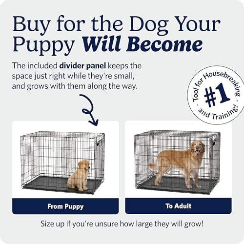 Midwest 42-Inch Single Door iCrate, for Large Breeds, 71-90 lbs - Image 4
