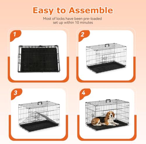 FDW | 30" Foldable Metal Dog Crate | Black | Cage for Medium Dogs - Image 5