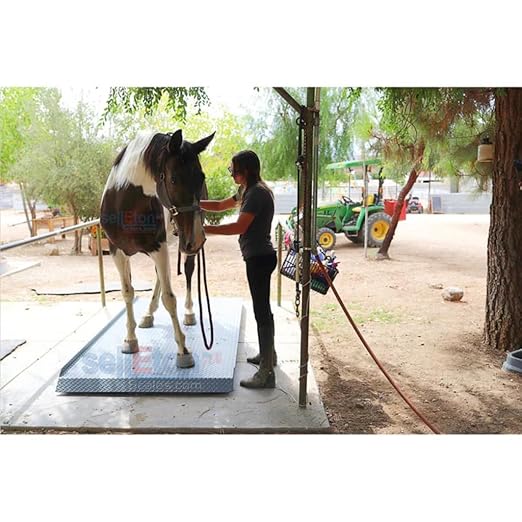 SellEton SL-929 Livestock & Cattle Alleyway Scale - Image 2