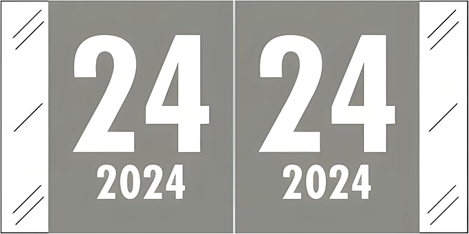 2024 Year Labels, Doctor Stuff 2024 Chart Stickers, Tabbies 11700 Style by DoctorStuff