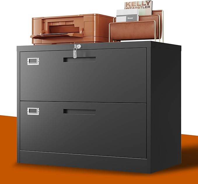 2 Drawer Lateral File Cabinet Metal Filing Cabinet by BYNSOE