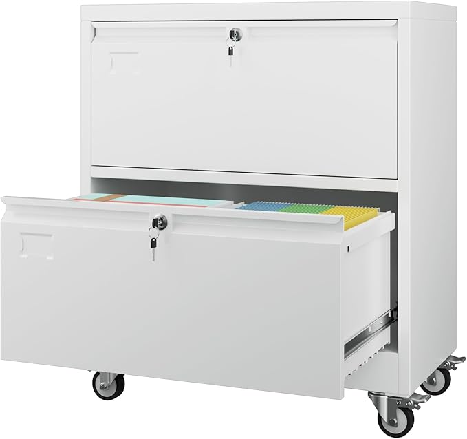Aobabo 2 Drawer Lateral File Cabinet by Aobabo