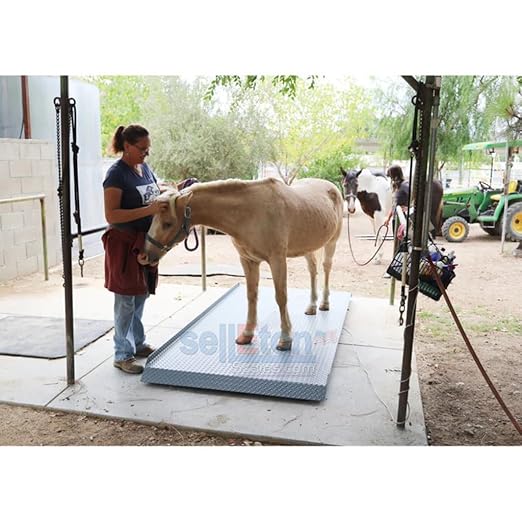 SellEton SL-929 Livestock & Cattle Alleyway Scale - Image 4