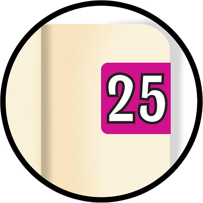 MINI 2025 Year Labels, Doctor Stuff 2025 Chart Stickers, Fuchsia Color Coded - Image 9