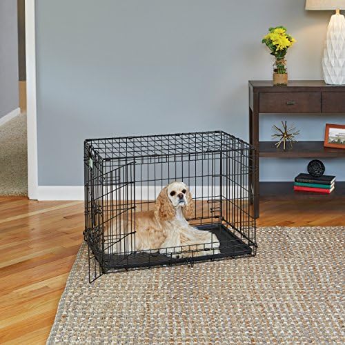 LifeStages by MidWest 30-Inch Double Door Crate, Medium Breeds, 21-40 lbs - Image 2