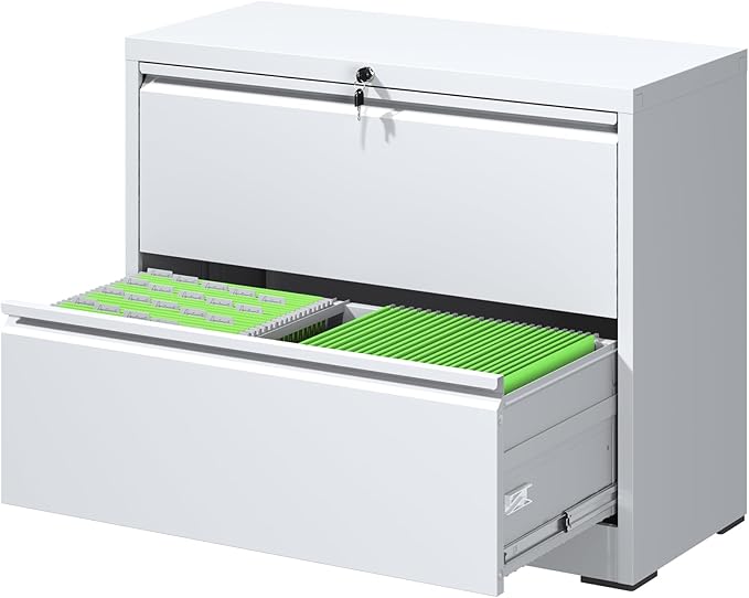 File Cabinets 2 Drawer, Metal Office Storage Filing Cabinet by FLIXELIO