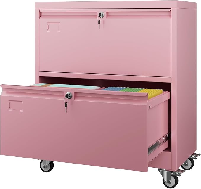 Aobabo 2 Drawer LateralFile Cabinet by Aobabo