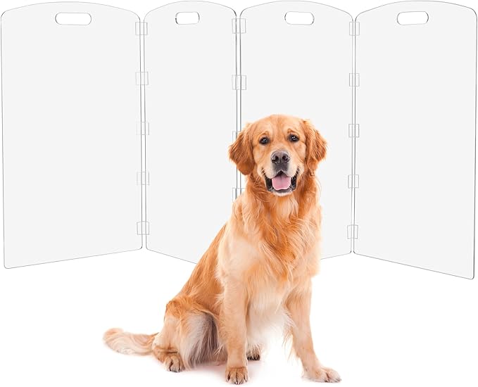 Modern Frame Clear Acrylic Freestanding Dog Gate by Feoyoho
