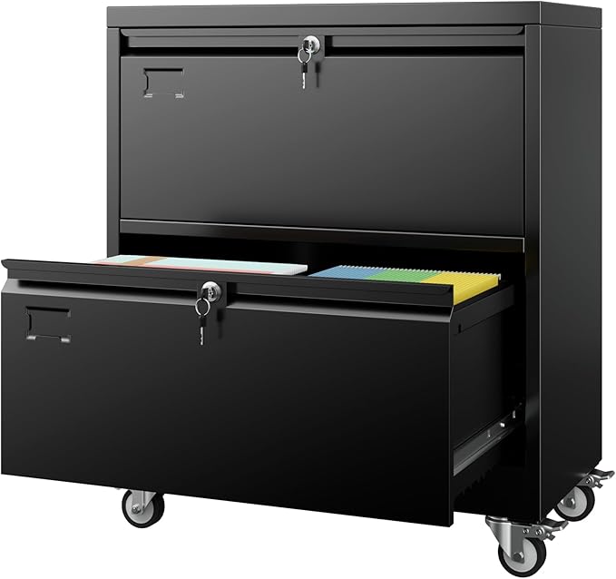 Aobabo 2 Drawer Lateral File Cabinet by Aobabo