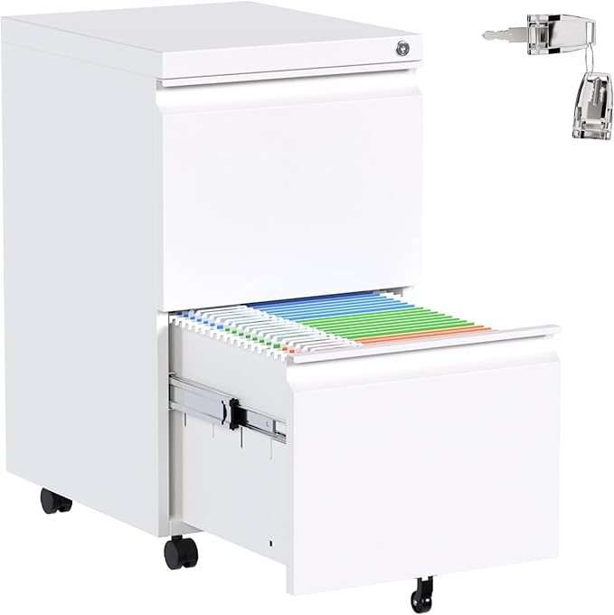 Aobabo 2 Drawer File Cabinet, Metal Filing Cabinet by Aobabo