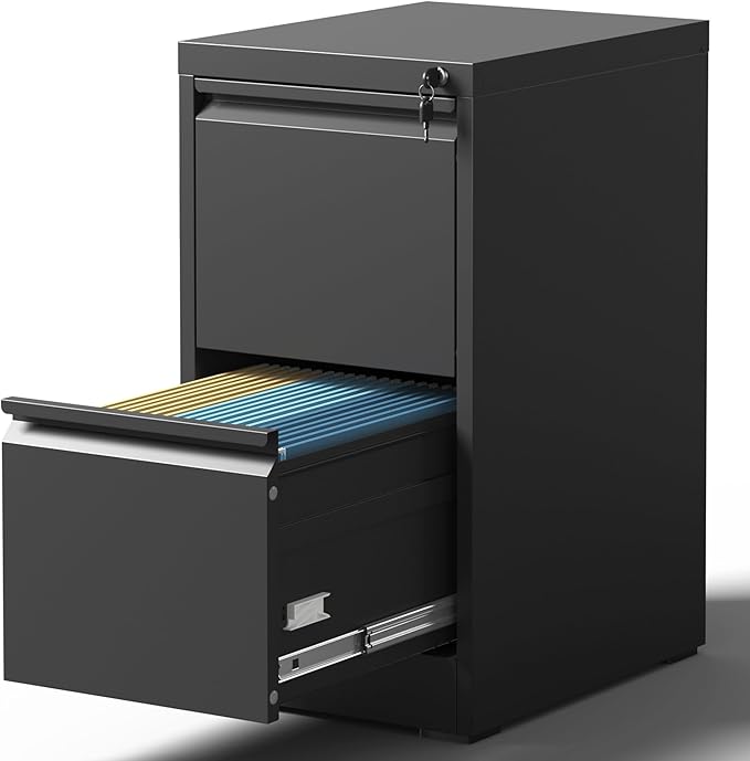 2 Drawer File Cabinet with Lock, Steel Vertical Filing Cabinets by BIZOEIRON