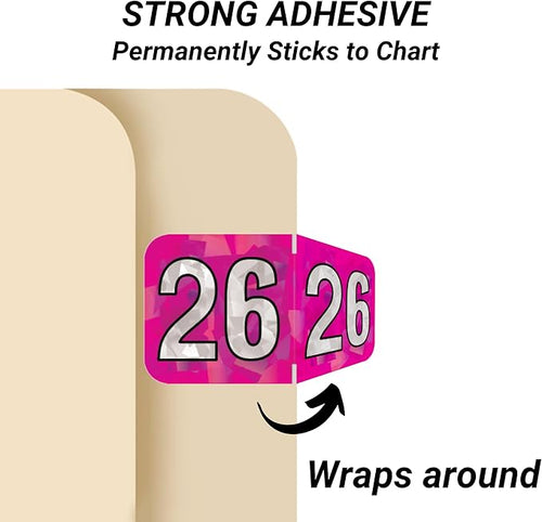 2026 Year Stickers, Doctor Stuff 2026 Chart Stickers, Holographic Fuchsia - Image 2