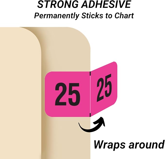 2025 Year Labels, Doctor Stuff 2025 Chart Stickers, Fluorescent Pink Color Coded - Image 3