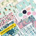 Better Office Products Decorative File Folders, 24 Pack, 8 Designs, Heavyweight, Letter Size (9.5" x 11.5") with 1/3 Cut Tab, Cute & Fun Modern Designs, Fashion Folders by BetterOfficeProducts
