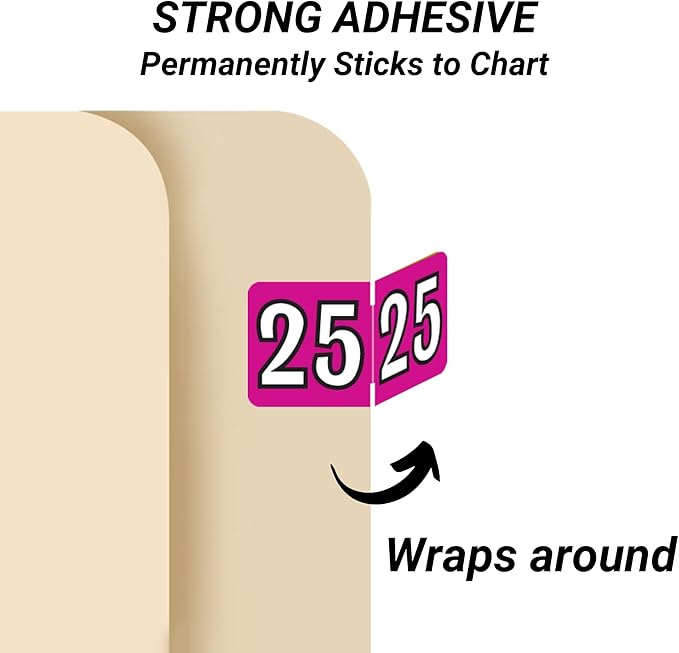 MINI 2025 Year Labels, Doctor Stuff 2025 Chart Stickers, Fuchsia Color Coded - Image 3