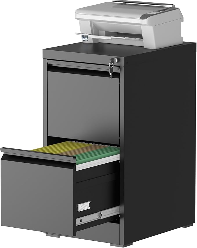 2 Drawer File Cabinet with Lock, Steel Vertical Filing Storage Cabinet by Unknown