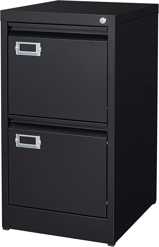 2 Drawer File Cabinet with Lock Metal Vertical Filing Storage Cabinet Office by BYNSOE