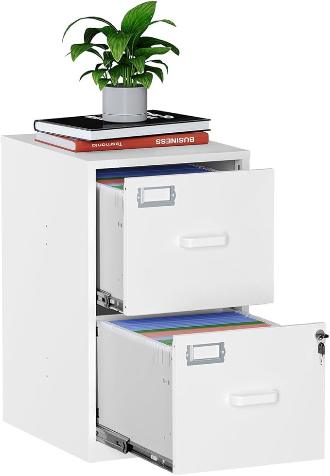 MIIIKO 2 Drawer Filing Cabinet by MIIIKOOfficeFurniture