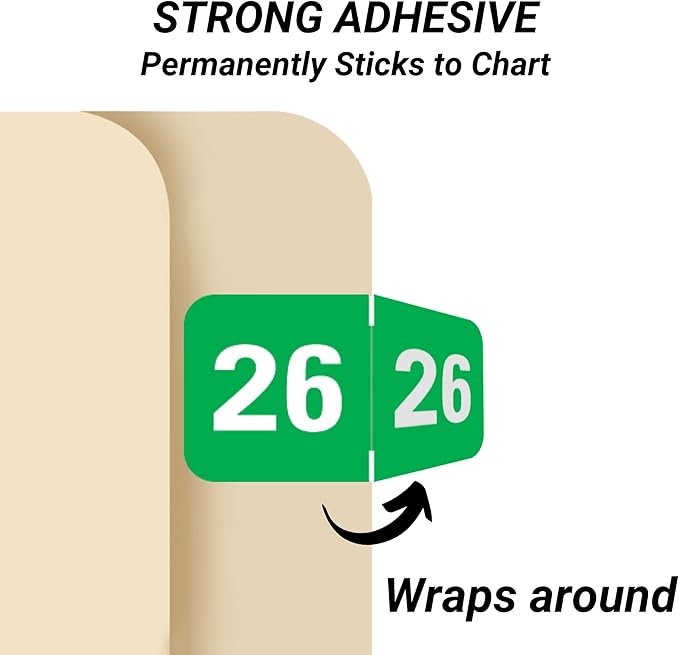 2026 Year Labels, Doctor Stuff 2026 Chart Stickers, Medical Arts Press Style - Image 2