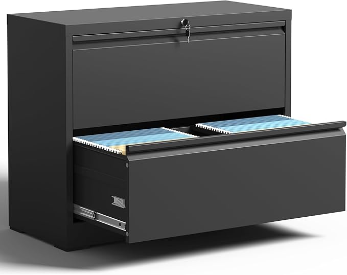 2 Drawer Lateral File Cabinet by BIZOEIRON