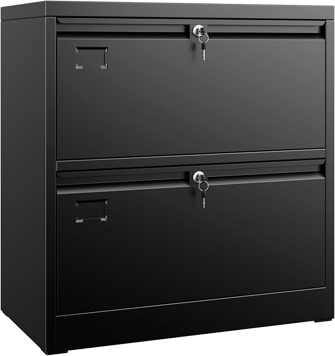 Aobabo 2 Drawer Lateral File Cabinet, Lockable Metal Filing Cabinet by Aobabo