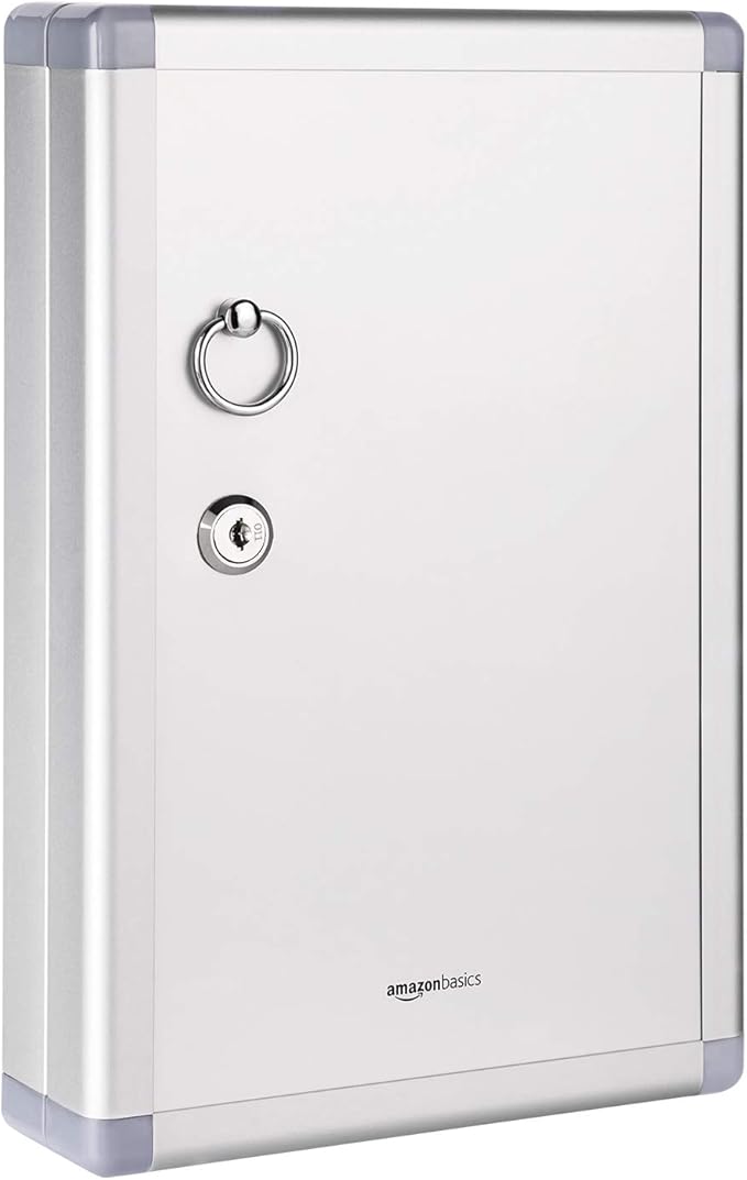 Amazon Basics 24-Key Position Cabinet Key lock Box, 12.5"D x 8.5"W x 2.45"H by AmazonBasics