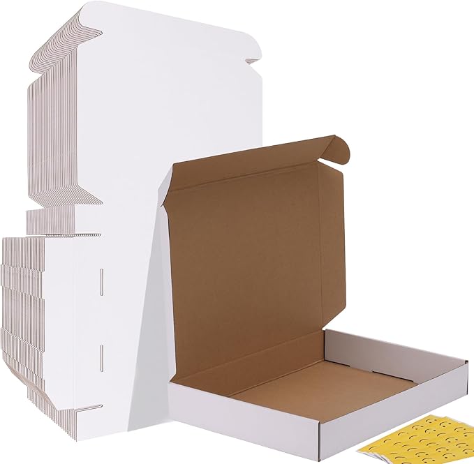 HORLIMER 13x10x2 Shipping Boxes Set of 30 by HORLIMER