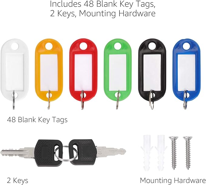 Amazon Basics Locking Steel Cabinet Security Lock Box - Image 5