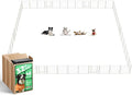 FXW Rollick Unleashed Dog Playpen by FXW